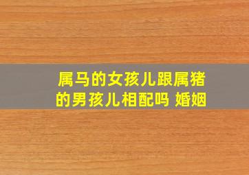 属马的女孩儿跟属猪的男孩儿相配吗 婚姻